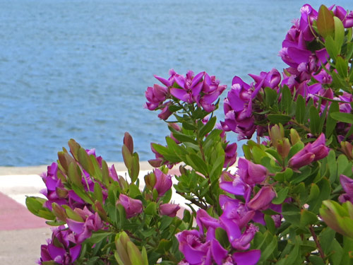 Ferreries Menorca